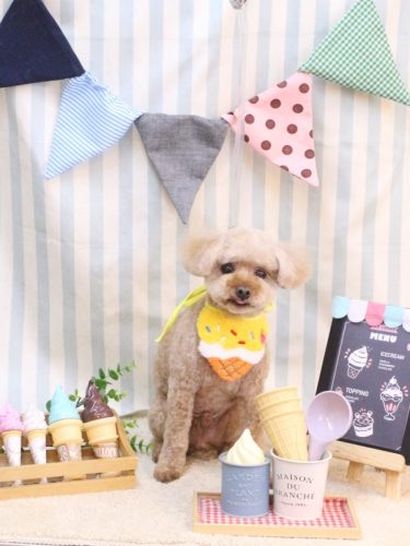 20250520そらくん